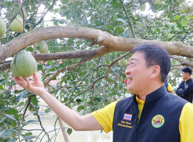 ลงพื้นที่ตรวจเยี่ยมและติดตามการดำเนินงานของศูนย์เรียนรู้การปลูกส้มโอทับทิมสยามบ้านแสงวิมานตำบลคลองน้อย อำเภอปากพนัง จังหวัดนครศรีธรรมราช โดยนายชวกิจจ์ สุวรรณคีรี รองผู้ว่าราชการจังหวัดนครศรีธรรมราช กล่าวต้อนรับพร้อมนายวิศิษฐ์ ศรีสุวรรณ์ อธิบดีกรมส่งเสริม ... พารามิเตอร์รูปภาพ 2